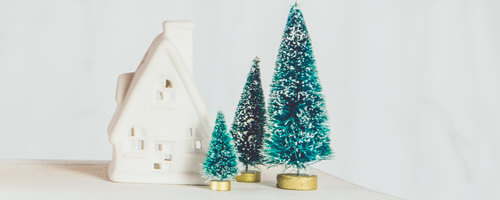 holiday trees and house decoration