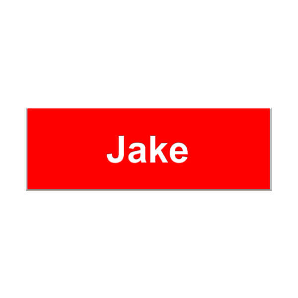Jake from State Farm