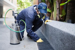 professional pest control
