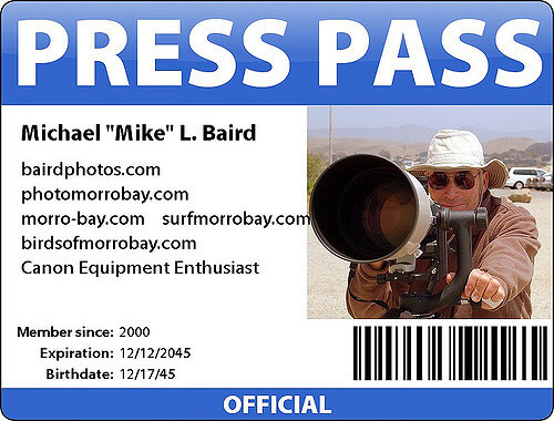 Photo ID Badge for Press